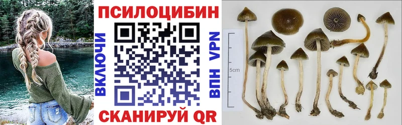 Псилоцибиновые грибы Magic Shrooms Белая Калитва
